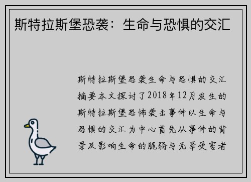 斯特拉斯堡恐袭：生命与恐惧的交汇